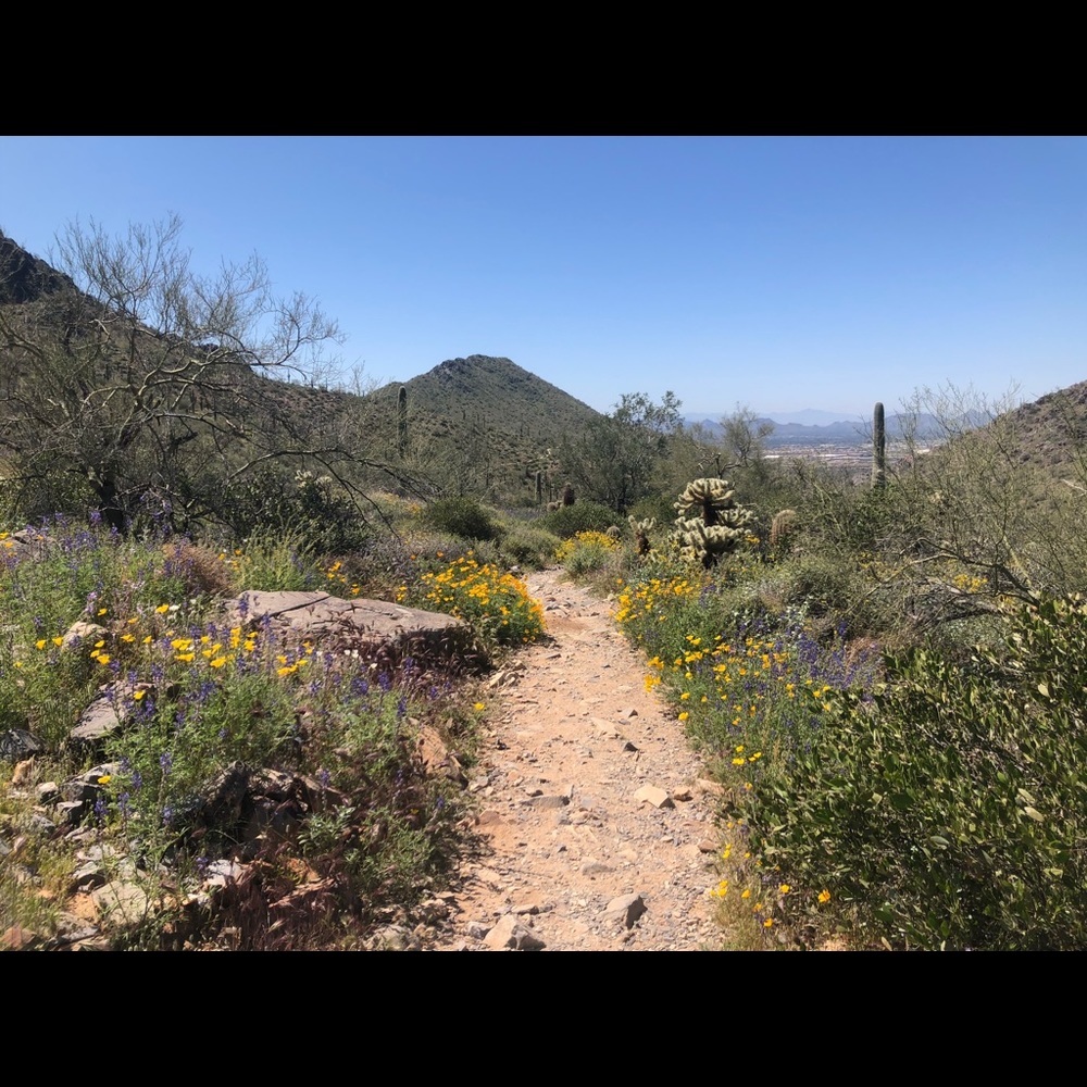 Meet your Posher, Christine